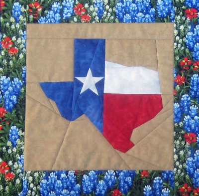 state of texas picture